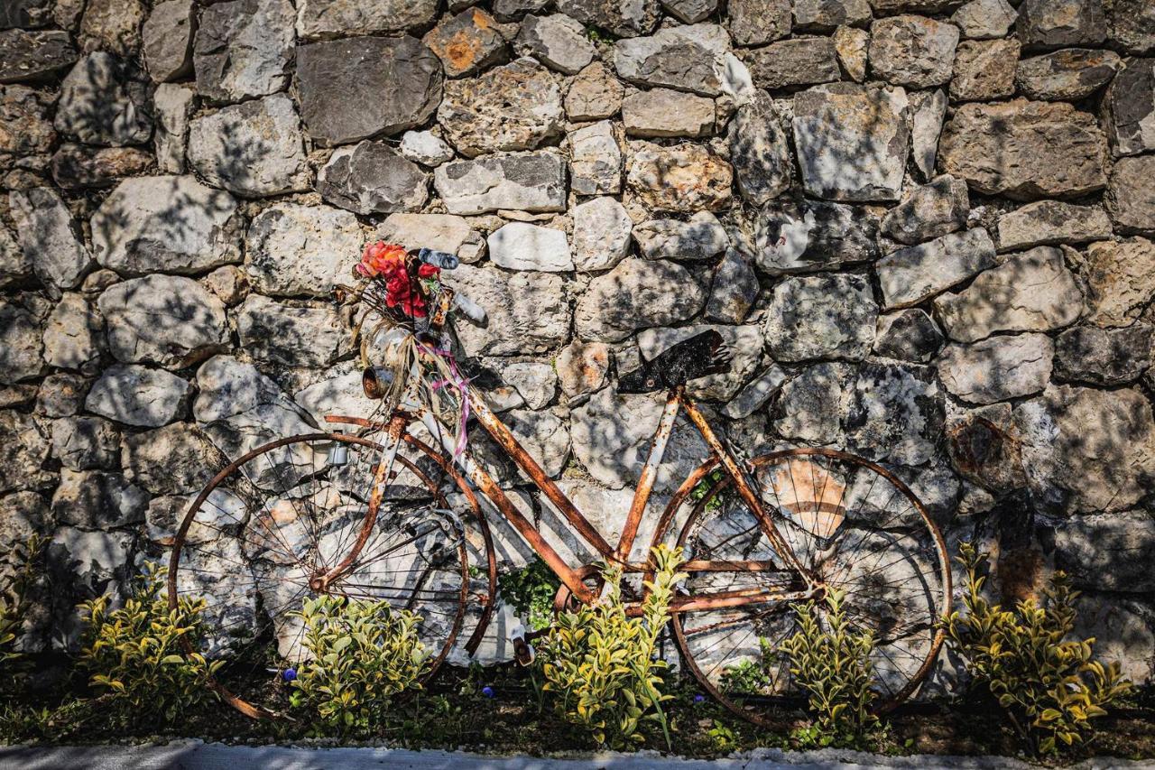 Casa vacanze Il Giardino Di Rosa